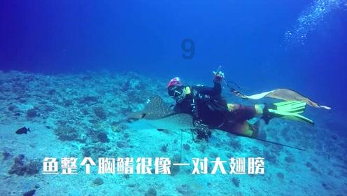 问答类网站 - 男孩儿特别优秀，可身边追求者众多，我该怎样引起他的注意呢？ - 解决你的问题